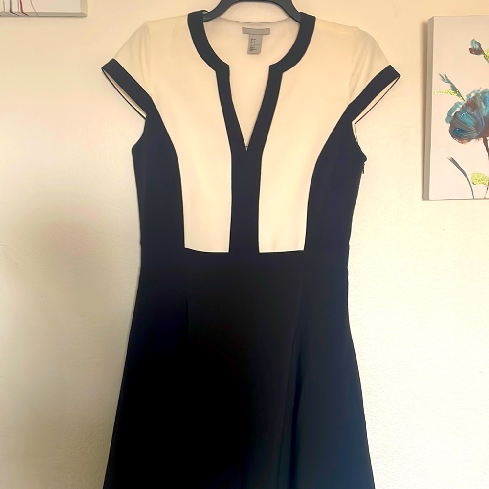 NWOT H&M fit and flare dress
